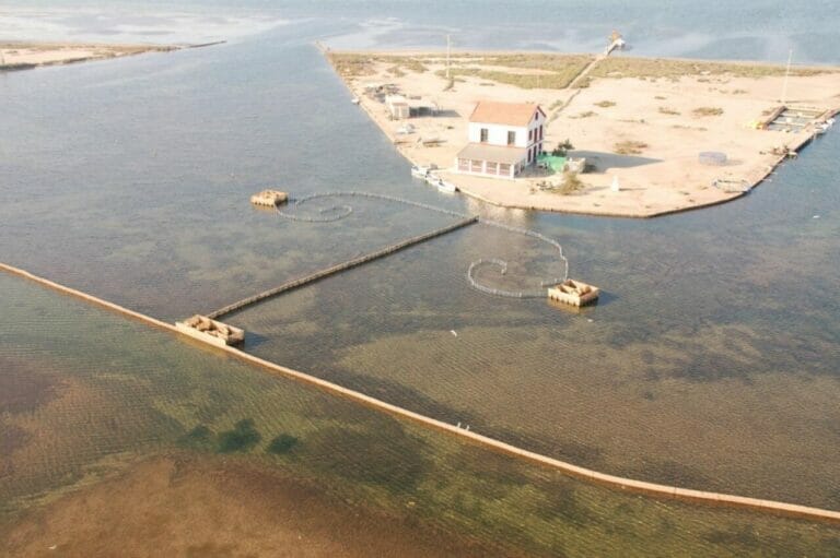 Las obras en Las Encañizadas comienzan sin adoptar todas las medidas para la protección del Mar Menor
