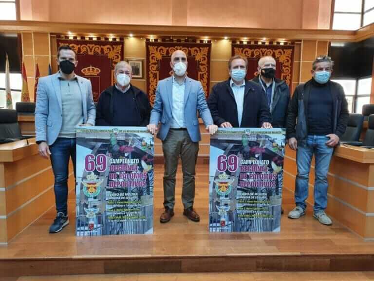 El Llano de Molina acogerá el 69º Campeonato Regional de Palomos Deportivos en el que competirán 200 ejemplares