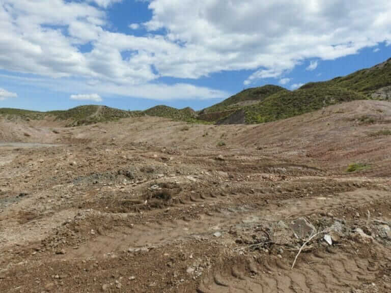ANSE: «Graves daños al medio natural por una roturación con fines urbanísticos en Águilas»