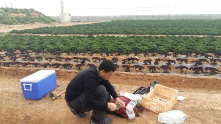 La comunidad bacteriana del suelo responde a la aplicación de compost con beneficios agrícolas y medioambientales