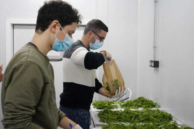 envases compostables