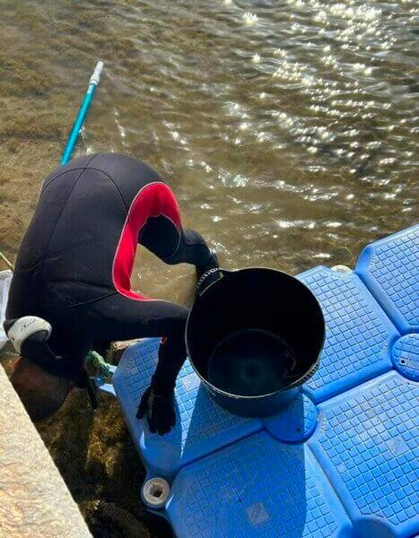 Más de tres kilos de peces muertos anuncian un nuevo episodio de anoxia en el Mar Menor provocado por la inacción del Partido Popular