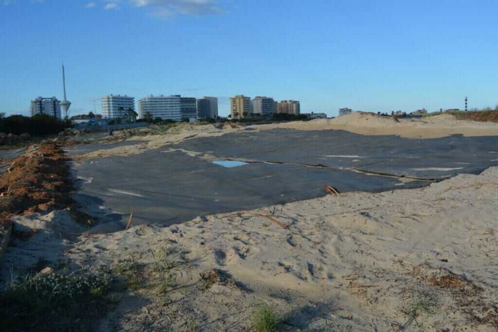 ANSE elimina 16.000 plántulas de acacia y solariza 4.000 m2 de arenales contra la vegetación invasora en La Manga ANSE elimina 16.000 plántulas de acacia y solariza 4.000 m2 de arenales contra la vegetación invasora en La Manga