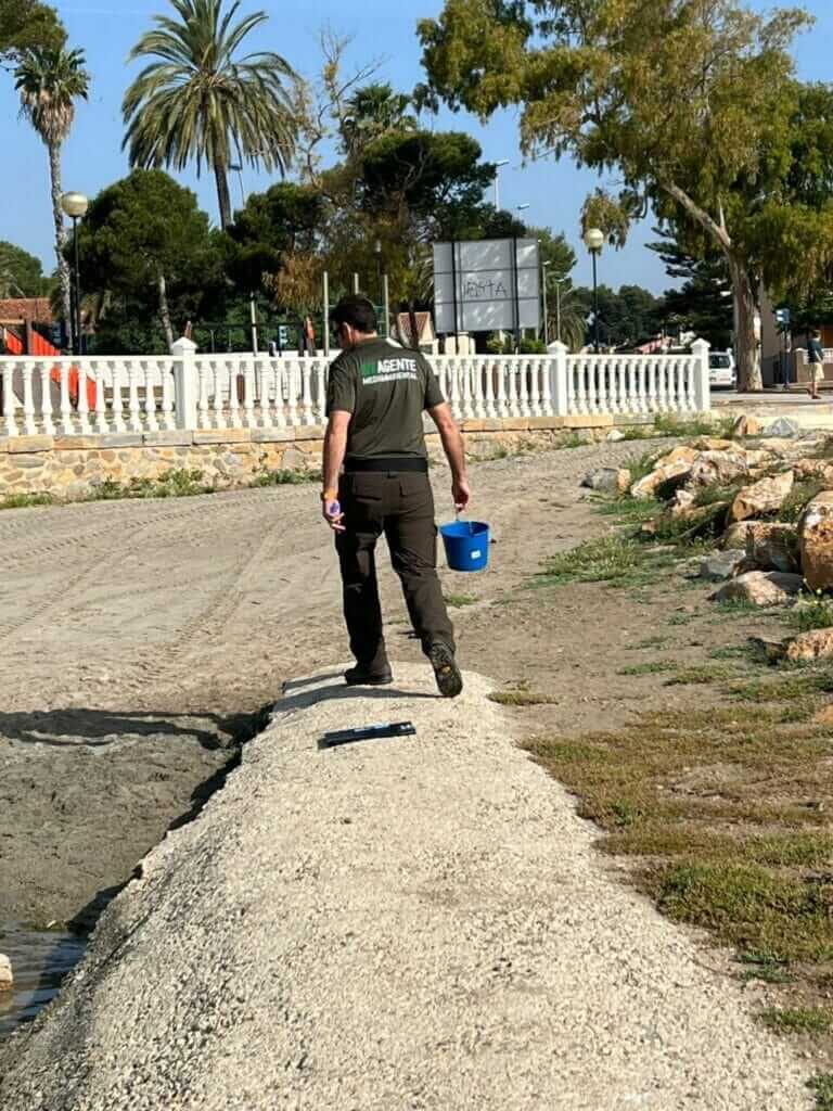 Galería fotográfica peces muertos en Santiago de la Ribera (Mar Menor) - 18/05/2022