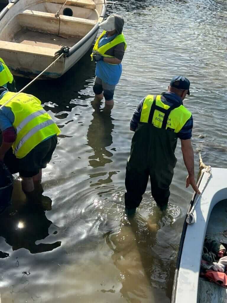 Galería fotográfica peces muertos en Santiago de la Ribera (Mar Menor) - 18/05/2022