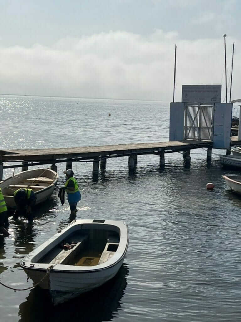 Galería fotográfica peces muertos en Santiago de la Ribera (Mar Menor) - 18/05/2022