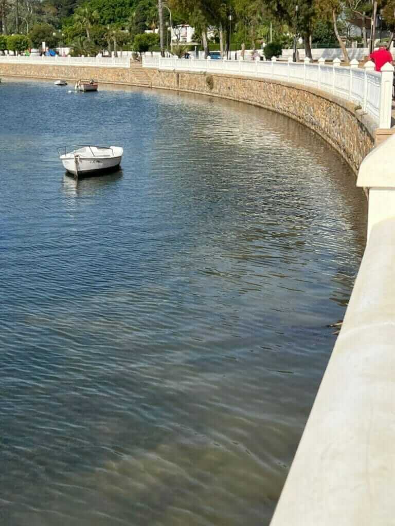 Galería fotográfica peces muertos en Santiago de la Ribera (Mar Menor) - 18/05/2022