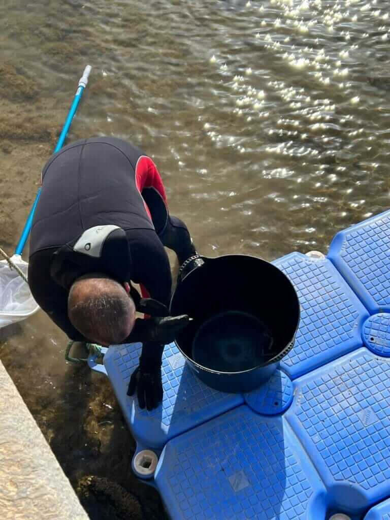Galería fotográfica peces muertos en Santiago de la Ribera (Mar Menor) - 18/05/2022