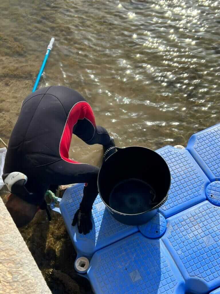 Galería fotográfica peces muertos en Santiago de la Ribera (Mar Menor) - 18/05/2022