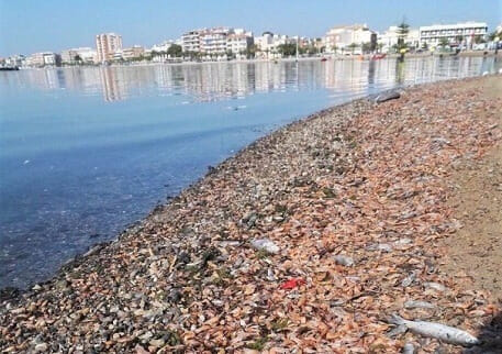 El Gobierno regional confirma que ha engañado a la ciudadanía con sus anuncios de inversión en el Mar Menor El Gobierno regional confirma que ha engañado a la ciudadanía con sus anuncios de inversión en el Mar Menor