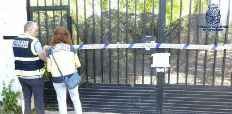 organización criminal