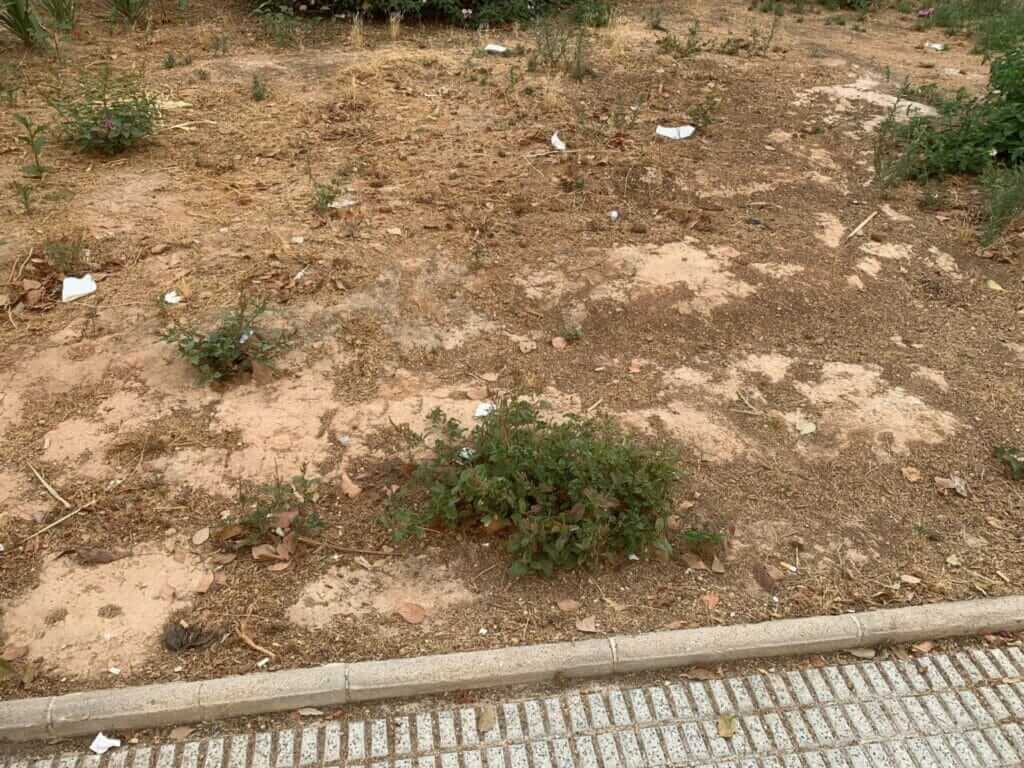 Christian Peña: “El Ayuntamiento de Cartagena se ha olvidado por completo de Barrio Peral, Jose Maria de Lapuerta y las 600”