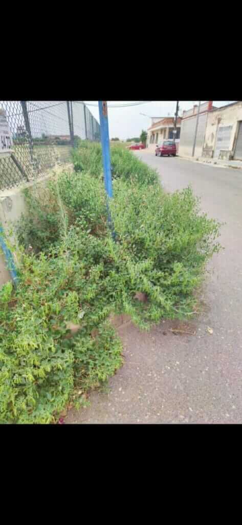 Pedro Contreras: “Es intolerable la actitud y la situación en la que se encuentran los barrios y diputaciones por el abandono del gobierno de Arroyo”