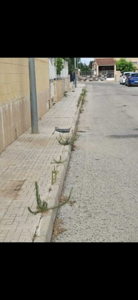 Pedro Contreras: “Es intolerable la actitud y la situación en la que se encuentran los barrios y diputaciones por el abandono del gobierno de Arroyo”