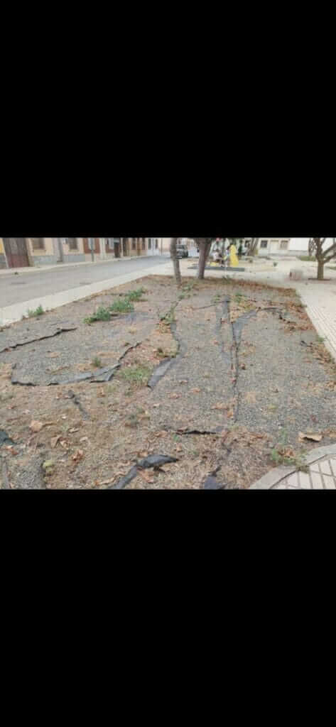 Pedro Contreras: “Es intolerable la actitud y la situación en la que se encuentran los barrios y diputaciones por el abandono del gobierno de Arroyo”