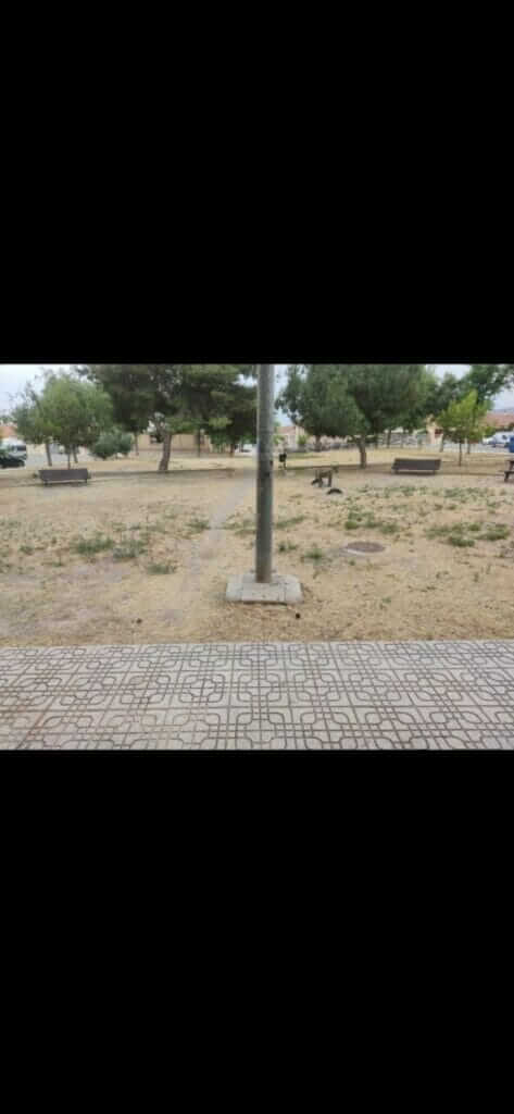 Pedro Contreras: “Es intolerable la actitud y la situación en la que se encuentran los barrios y diputaciones por el abandono del gobierno de Arroyo”