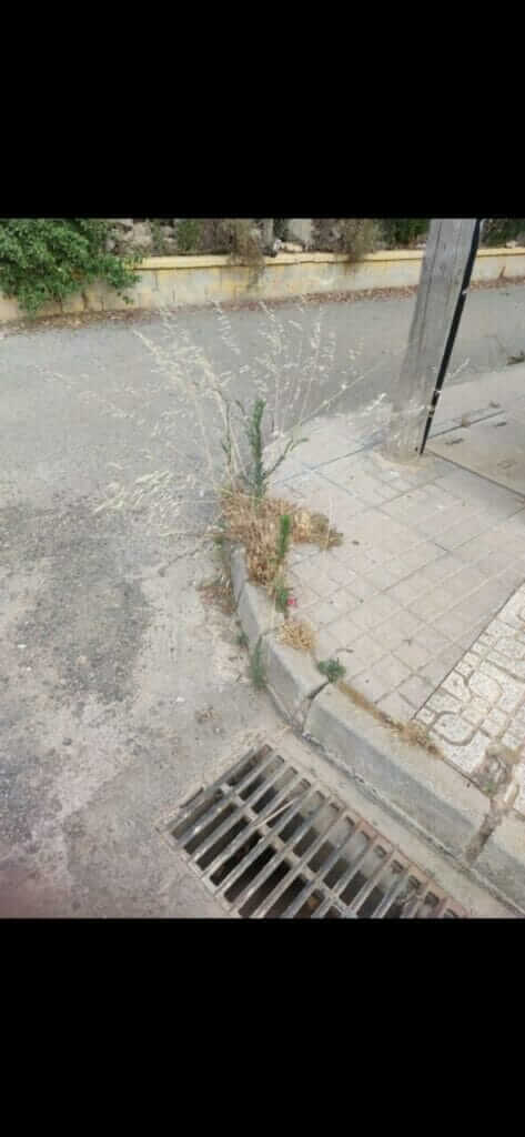 Pedro Contreras: “Es intolerable la actitud y la situación en la que se encuentran los barrios y diputaciones por el abandono del gobierno de Arroyo”