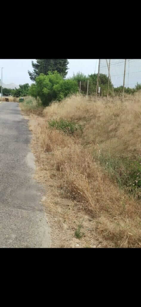 Pedro Contreras: “Es intolerable la actitud y la situación en la que se encuentran los barrios y diputaciones por el abandono del gobierno de Arroyo”