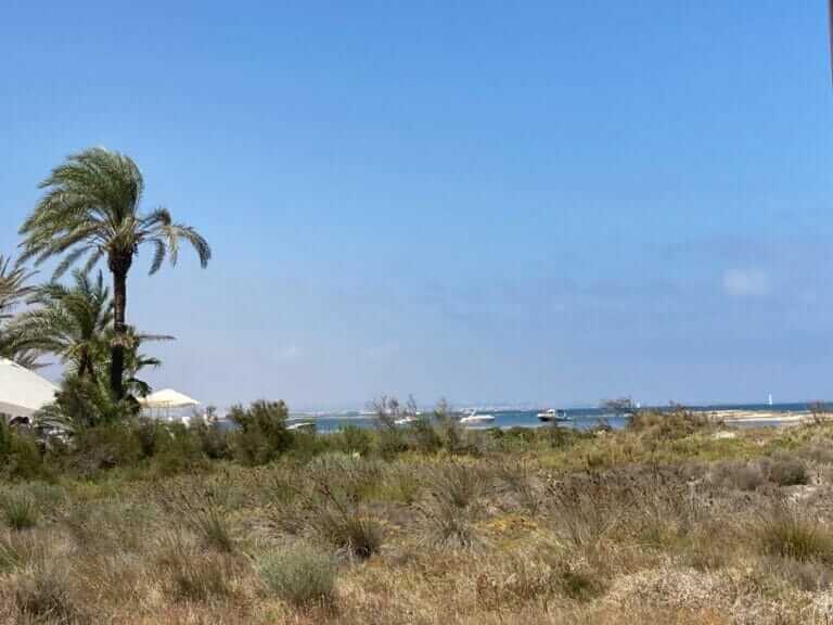 El uso de maquinaria pesada en las playas y la navegación de embarcaciones dentro de las Encañizadas dañan los valores naturales de una zona de conservación prioritaria del Parque Regional