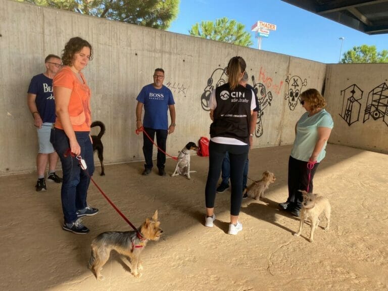 Gran éxito del segundo taller gratuito de adiestramiento de perros en Murcia