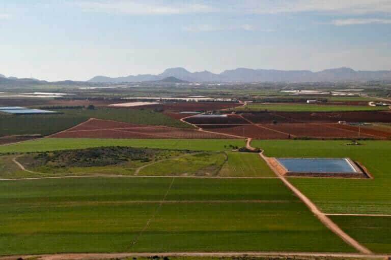 Más riego y menos cultivos ecológicos en el Campo de Cartagena
