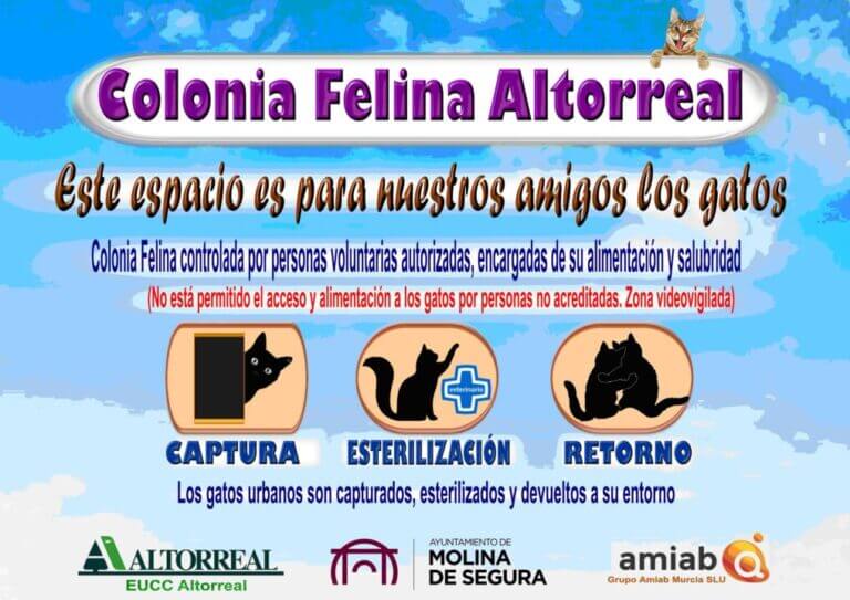 El Ayuntamiento de Molina de Segura pone en marcha un proyecto piloto en la Colonia Felina Altorreal.