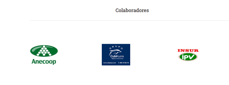 La Fundación Ingenio elimina de su web la lista de patronos y colaboradores Colaboradores Fundación Ingenio