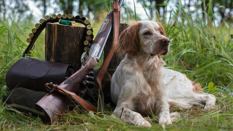 IUVRM en contra de la caza con perros