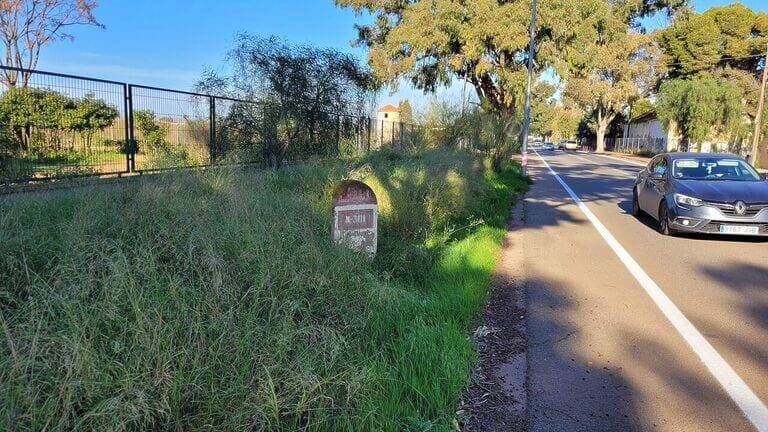 El PSOE denuncia la situación de abandono de las vias peatonales y carril bici entre Santa Ana y el Polígono Residencial