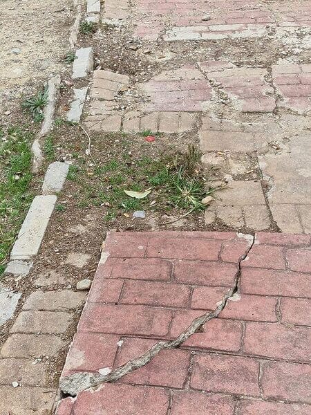 Noelia Arroyo denunciada por hechos que pudieran ser constitutivos de corrupción Noelia Arroyo denunciada por hechos que pudieran ser constitutivos de corrupción