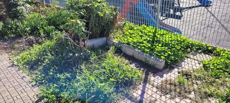 Noelia Arroyo denunciada por hechos que pudieran ser constitutivos de corrupción Noelia Arroyo denunciada por hechos que pudieran ser constitutivos de corrupción