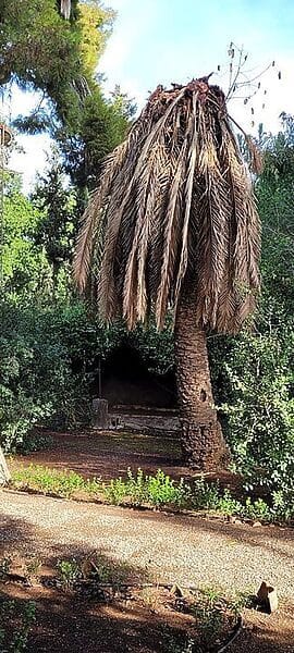 Noelia Arroyo denunciada por hechos que pudieran ser constitutivos de corrupción Noelia Arroyo denunciada por hechos que pudieran ser constitutivos de corrupción