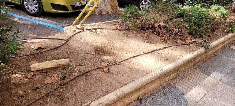 Manuel Torres: “Exigimos una investigación a fondo sobre las condiciones en que se está desarrollando el servicio de conservación de parques y jardines”