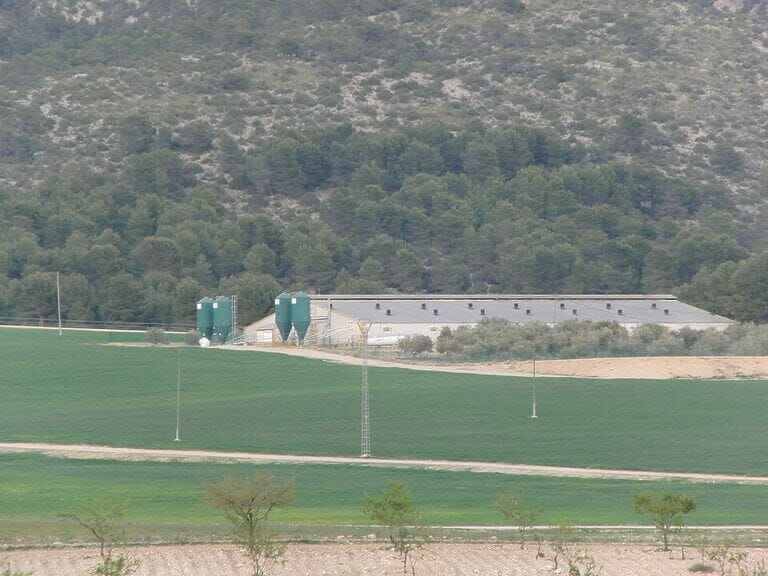 ECOLOGISTAS EN ACCIÓN ALEGA CONTRA LA AMPLIACIÓN DE UNA MACROGRANJA EN NOGALTE, LORCA