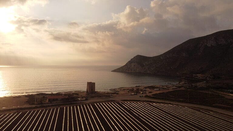 ANSE y WWF se oponen a la construcción de una “urbanización encubierta” junto a Cabo Cope