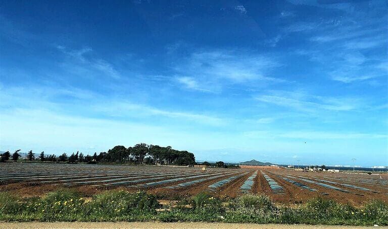 El aumento del regadío constituye la mayor amenaza para los ríos, acuíferos y humedales en España