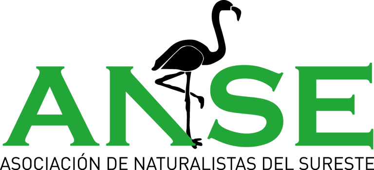 ANSE: "Dos linces y un quebrantahuesos abatidos en un año alertan de la caza ilegal"