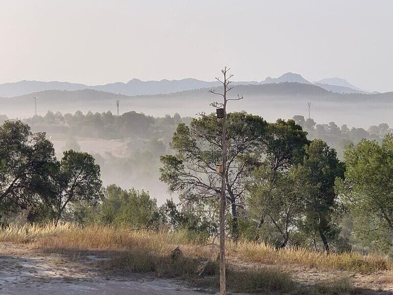 NI LA ALERTA ROJA POR TEMPERATURAS IMPIDE QUE COLINA CIMAR CONTINUE SU ACTIVIDAD, INCUMPLIENDO REITERADAMENTE LAS MEDIDAS DE LA AAU CONCEDIDA