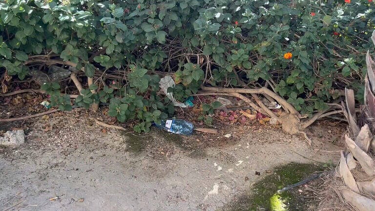 El “nulo mantenimiento y falta de limpieza” en Lorca demuestran que la ‘operación deshollino’ inventada por Fulgencio Gil es tan solo un anuncio para las redes sociales