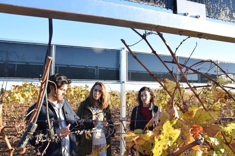Investigadores de la UPCT proponen integrar módulos solares en parcelas agrícolas del Mar Menor para reducir uso de agua y fertilizantes