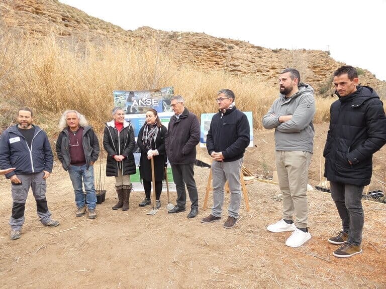 Arrancan las plantaciones de un bosque de ribera de 3,5 ha en La Huertecica