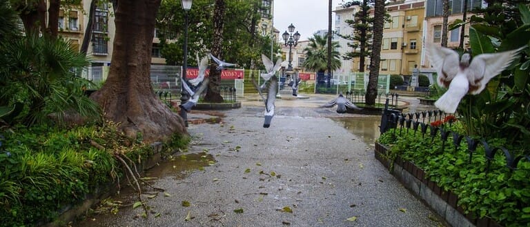 El PSOE de Cartagena denuncia el mal estado de la Plaza de la Merced