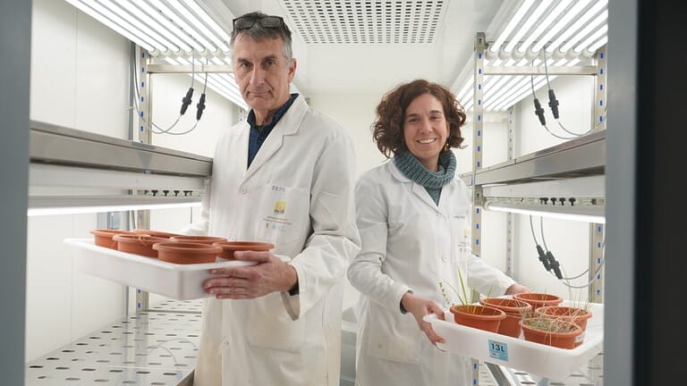 Evalúan la ecotoxicidad y la resiliencia de suelos de la Sierra Minera bajo los peores escenarios de cambio climático