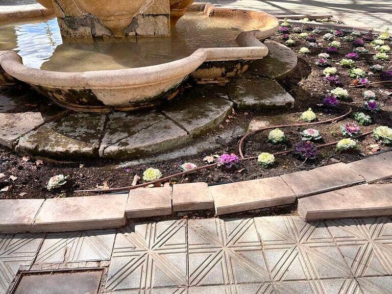 El PSOE de Lorca denuncia el lamentable estado de abandono que presenta la Alameda de las Columnas y exige su recuperación de cara a Semana Santa