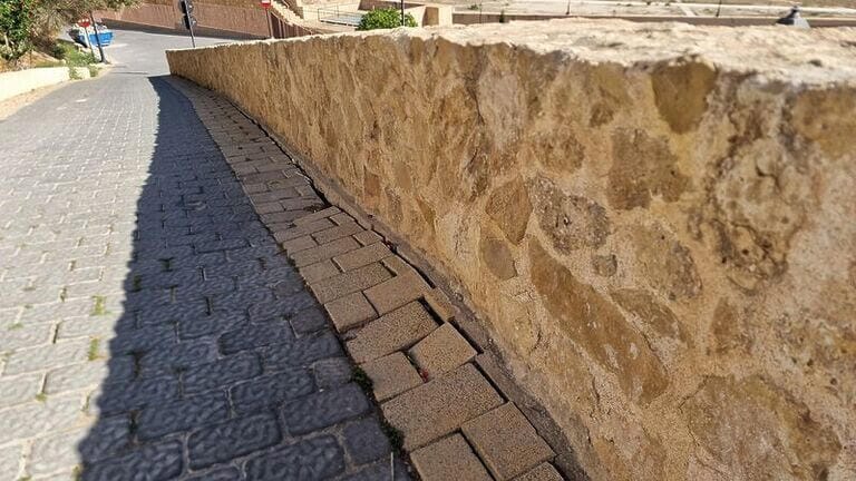 Preocupación del PSOE de Lorca por el alarmante estado de deterioro en el que se encuentra el entorno de Muralla de la ciudad, y exige medidas inmediatas a Fulgencio Gil