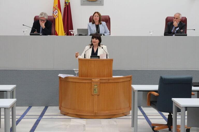 El PSOE exige al Gobierno regional que cumpla su palabra y reembolse a los padres el dinero que han pagado de la vacuna del rotavirus, ya que anunció que sería gratuita en 2024