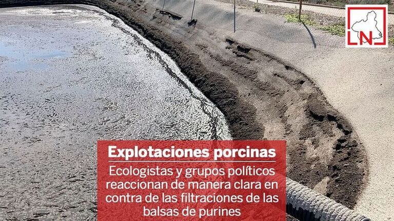 Ecologistas y grupos políticos reaccionan de manera clara en contra de las filtraciones de las balsas de purines