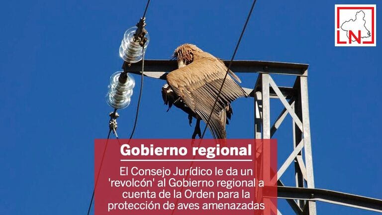 El Consejo Jurídico le da un 'revolcón' al Gobierno regional a cuenta de la Orden para la protección de aves amenazadas