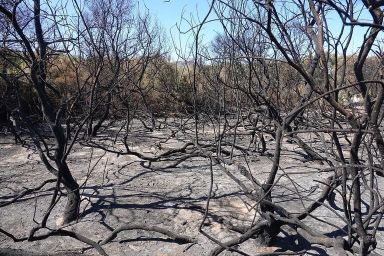 AMACOPE denuncia otro atentado medioambiental en el Parque Calnegre / Cabo Cope