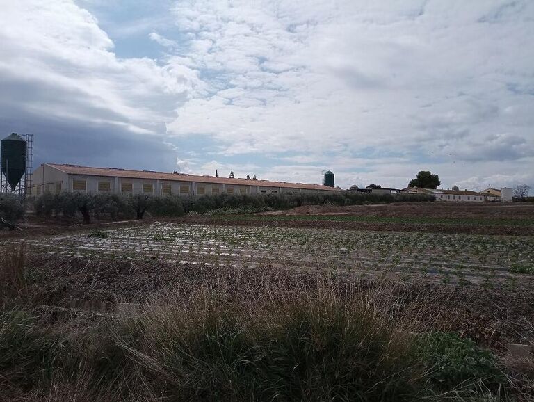 NO AUTORIZADO EL PROYECTO DE AMPLIACIÓN DE UNA GRANJA PORCINA EN LORCA ALEGADO POR ECOLOGISTAS EN ACCIÓN